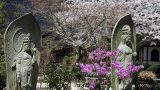 japan-4