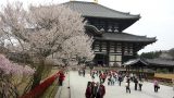 japan-7