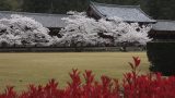 japan-8