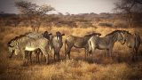kenya-5