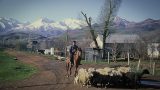 kirgizstan-12