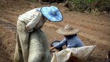 laos-19