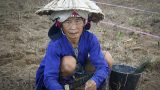 laos-21