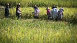 laos-25