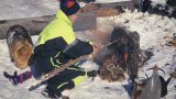 lapland_x-10