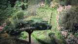 madeira_x-6