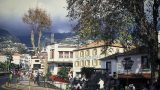 madeira_x-7