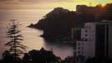 madeira_x-8