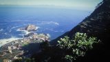 madeira_x-9