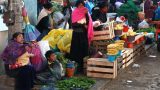 mexico-web_62