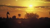 namibia_x-4