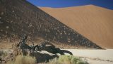 namibia_x-5