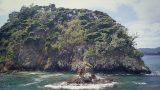 new-zealand_x-16