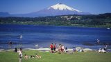 new-zealand_x-4