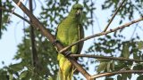 nicaragua-3