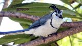 nicaragua-4