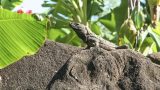 nicaragua-5