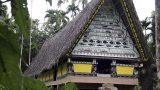 palau-3