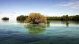 palau-6