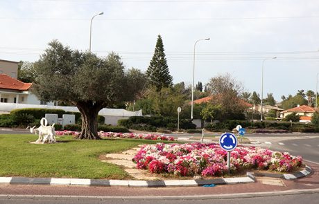 תולדותיה והתפתחותה של פרדס חנה