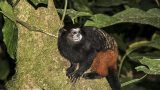 peru-12
