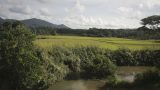 philipines-20