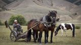 sibiria-23