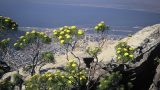 south-africa_x-31