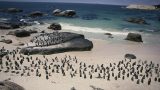 south-africa_x-35