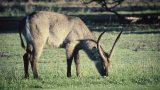 south-africa_x-36