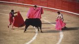 spain_x-1