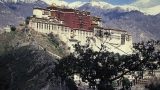 tibet-x-1
