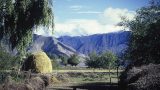 tibet-x-15
