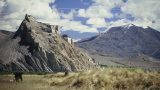 tibet-x-19