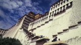 tibet-x-24