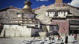 tibet-x-34