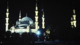 turkey_x-2