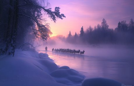הסאמים ילידי לפלנד