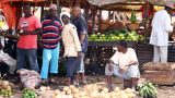 zanzibar-w_2
