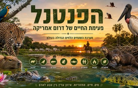 הרצאה על הפנטנל