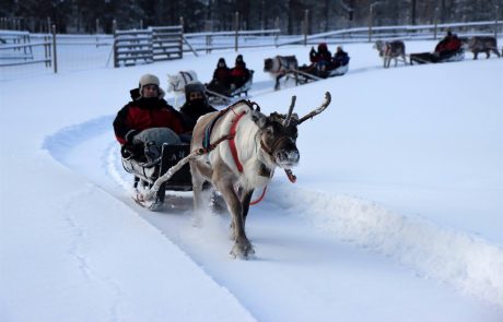 טיול "גיאוגרפי" ללפלנד פברואר 2025