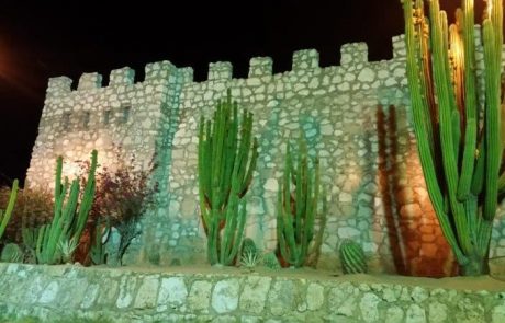 צפ' מקסיקו ובאחה קליפורניה – פברואר / מרץ    2020