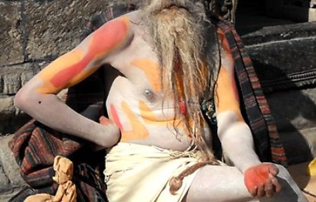 הסיאנסי- הפרישות בהינדואיזם