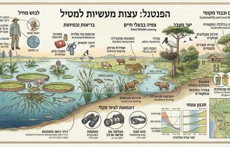 הפנטנל- עצות מעשיות למטייל
