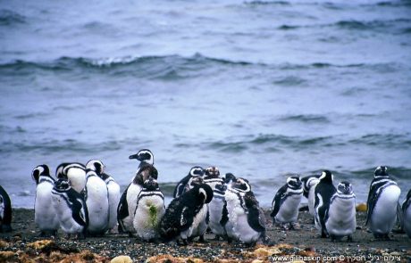 טיול לדרום אמריקה – פברואר 2026