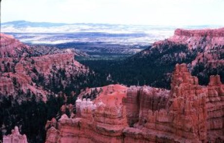 טיול פארקים ושמורות הטבע במערב ארה"ב   – יוני 2022